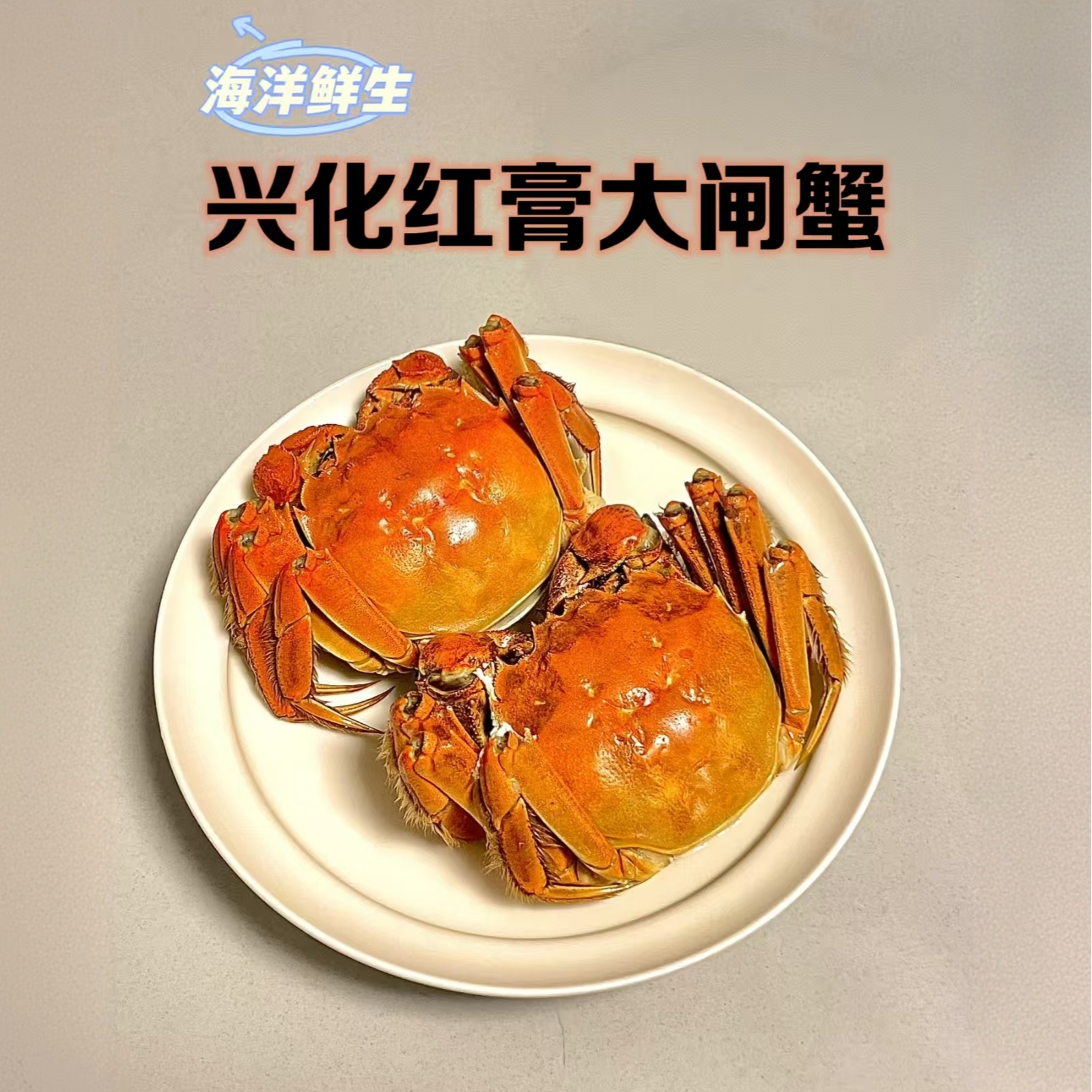 鲜活【全母2.8-3.1两】兴化大闸蟹母蟹 8/10只螃蟹顺丰京东冷链直达