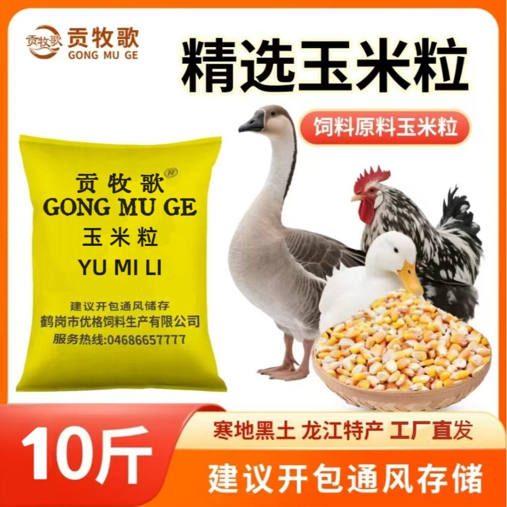 东北精选玉米粒家禽牲畜饲料玉米颗粒饱满营养高易消化