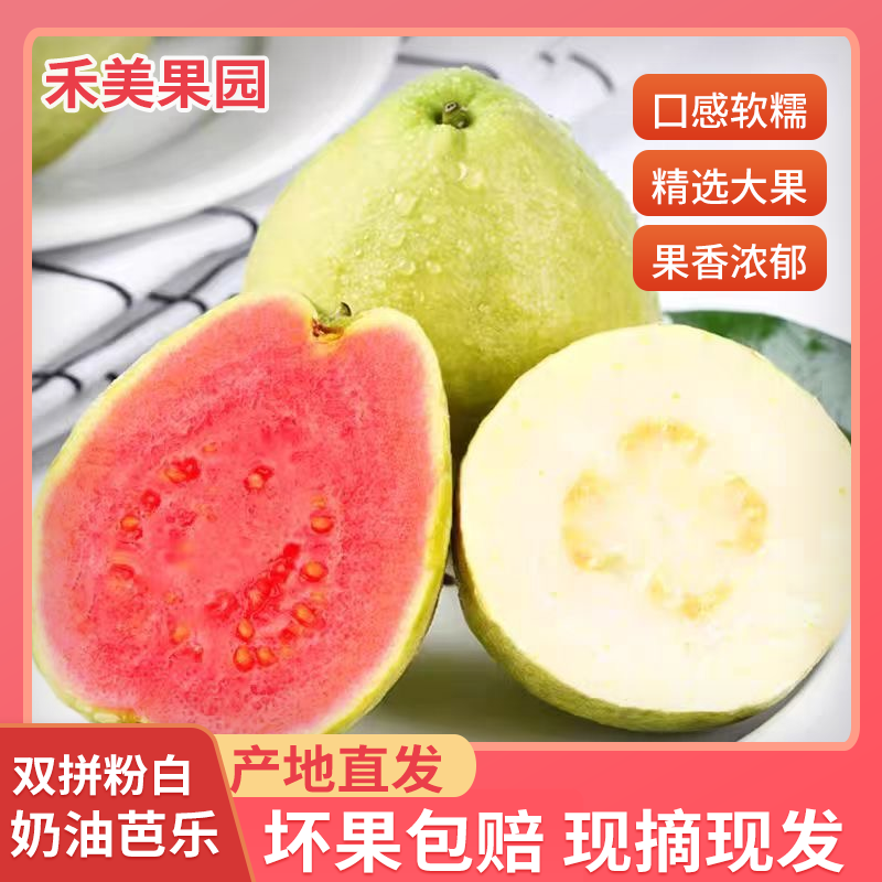 广西奶油红心芭乐白心芭乐番石榴软糯香甜当季新鲜采摘
