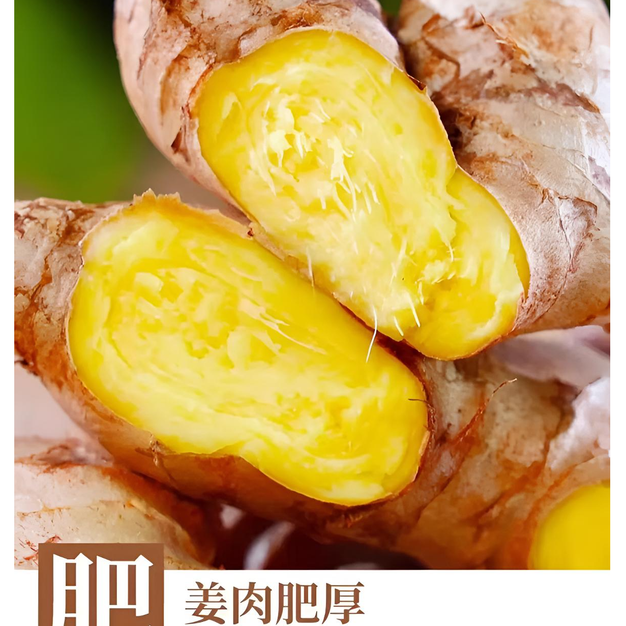 贵州高山新鲜现挖一年半老姜小黄姜3/5/9斤云南小黄姜味浓郁