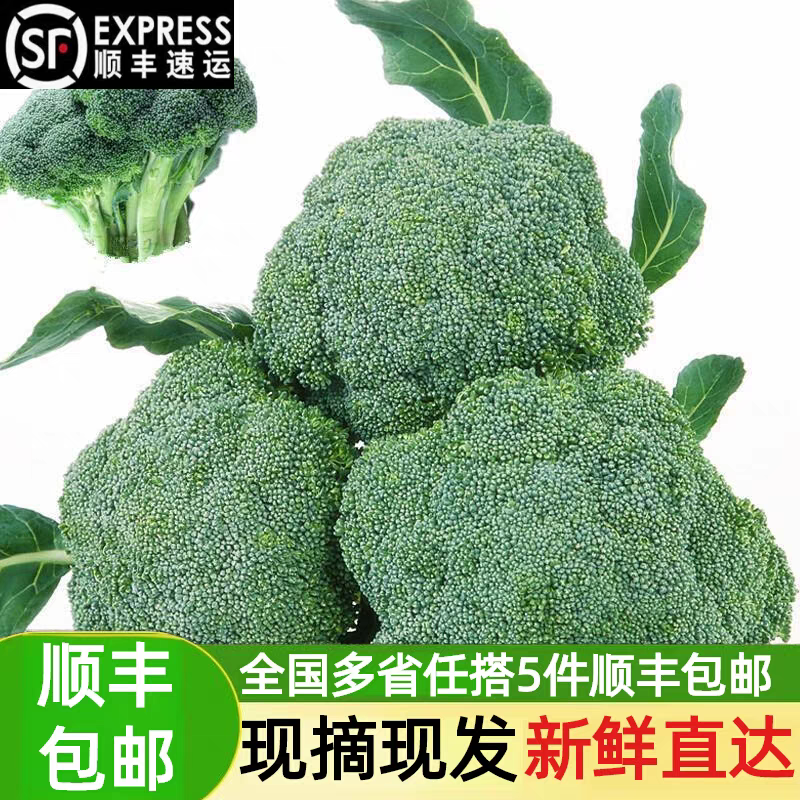 现摘现发宁夏新鲜现摘现发西蓝花西兰花青花椰菜菜花高原时令蔬菜