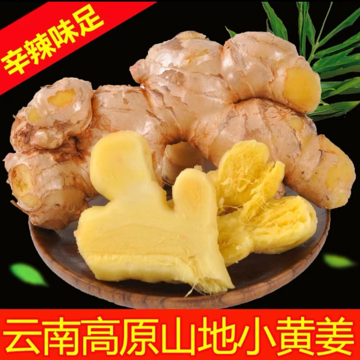 云南小黄姜农家高山种植姜味辛辣浓郁新鲜现挖3/5/9斤带泥土发货