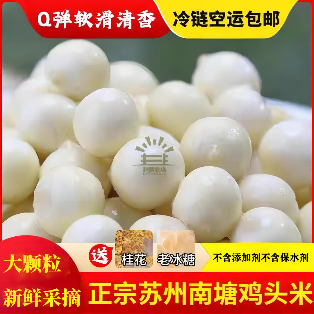 大颗粒苏州鸡头米】新鲜采摘芡实农产品食品软糯清香现摘现发