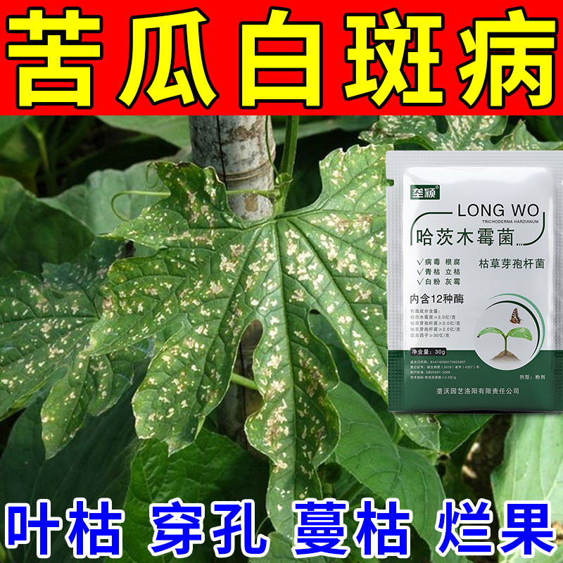 苦瓜苗叶片白斑专用肥料抗病抑菌苦瓜炭疽病卷叶病白斑黄叶病专用