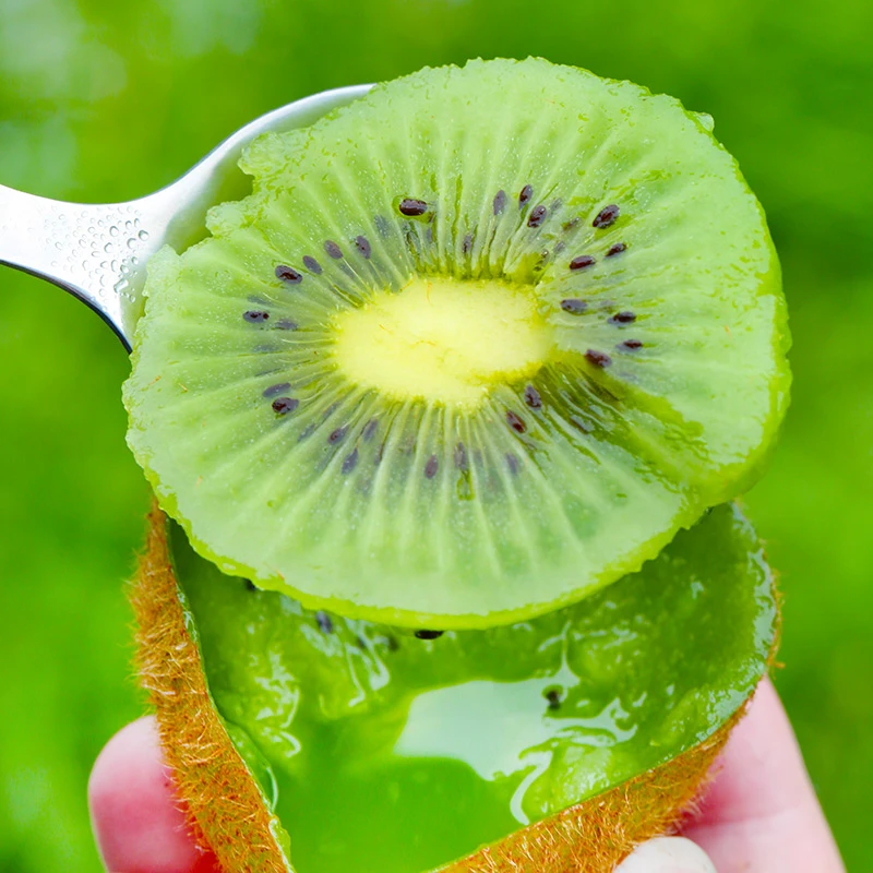 【催熟变软食用】陕西徐香猕猴桃绿心30个单果60-80g送勺子假一赔十