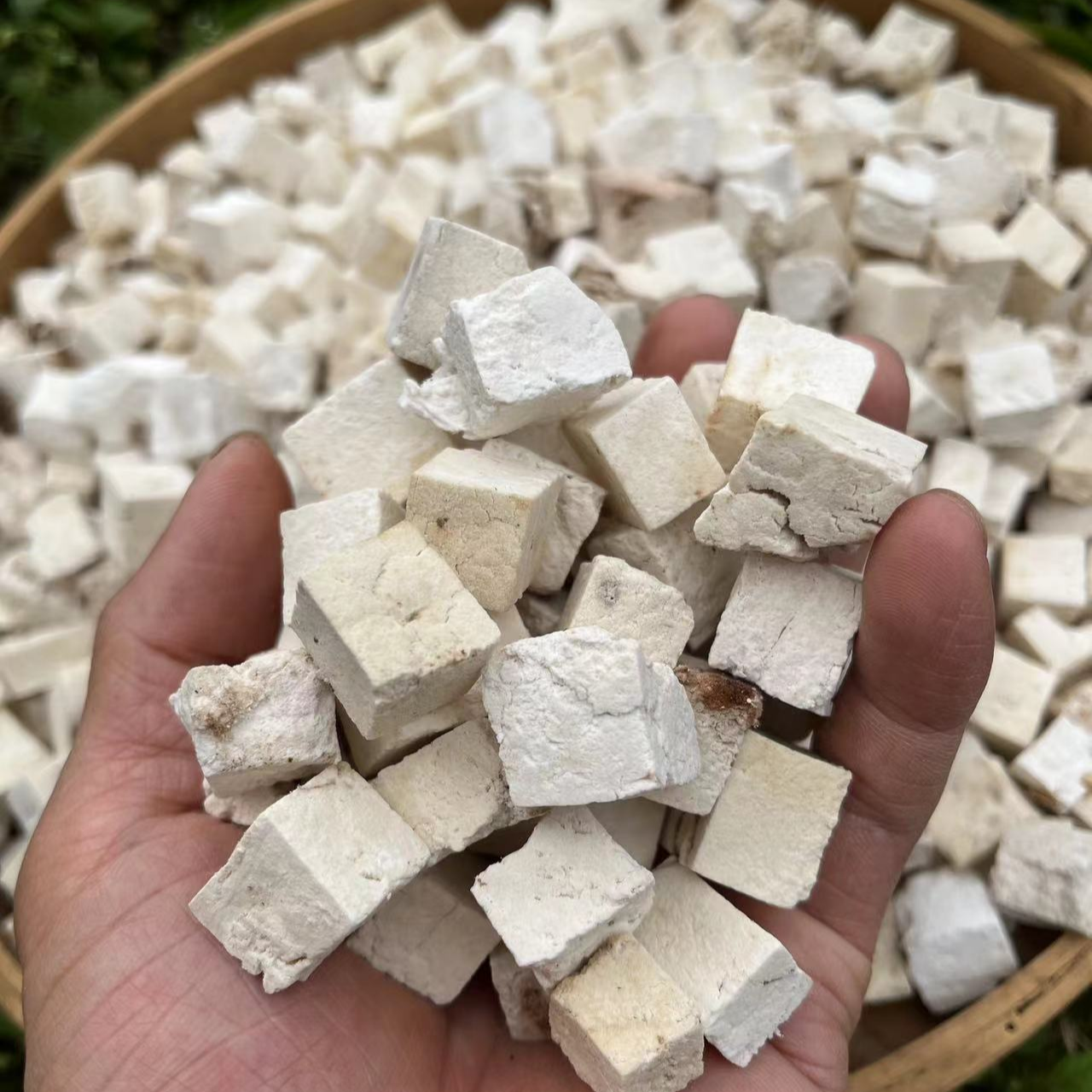 [精选茯苓]粤北山区农家深山自挖手工切晒茯苓500克一袋