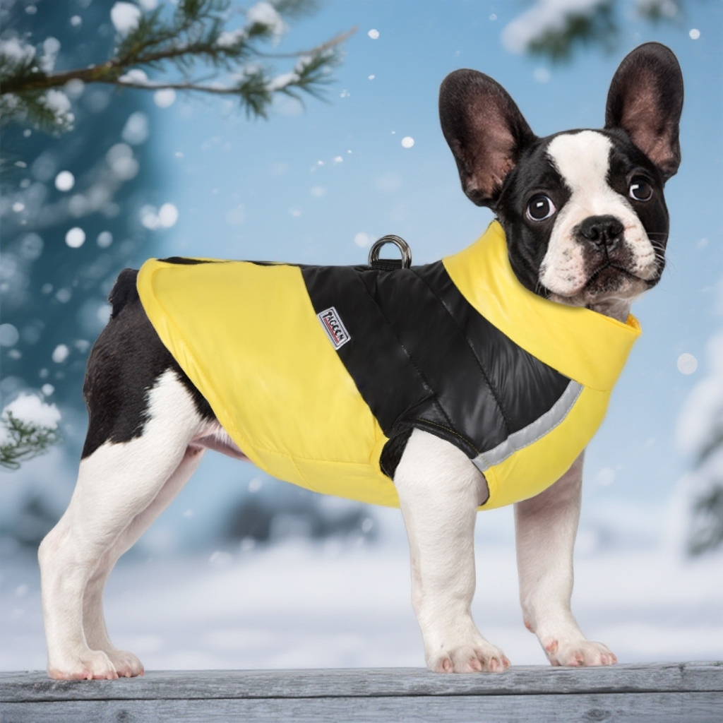 秋冬宠物衣服防水反光狗狗棉衣轻便小狗衣服加厚保暖宠物棉服