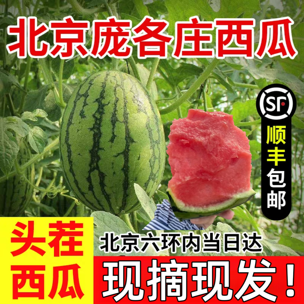 顺丰 庞各庄西瓜小糖丸西瓜袖珍小西瓜 单果2-3斤左右新鲜