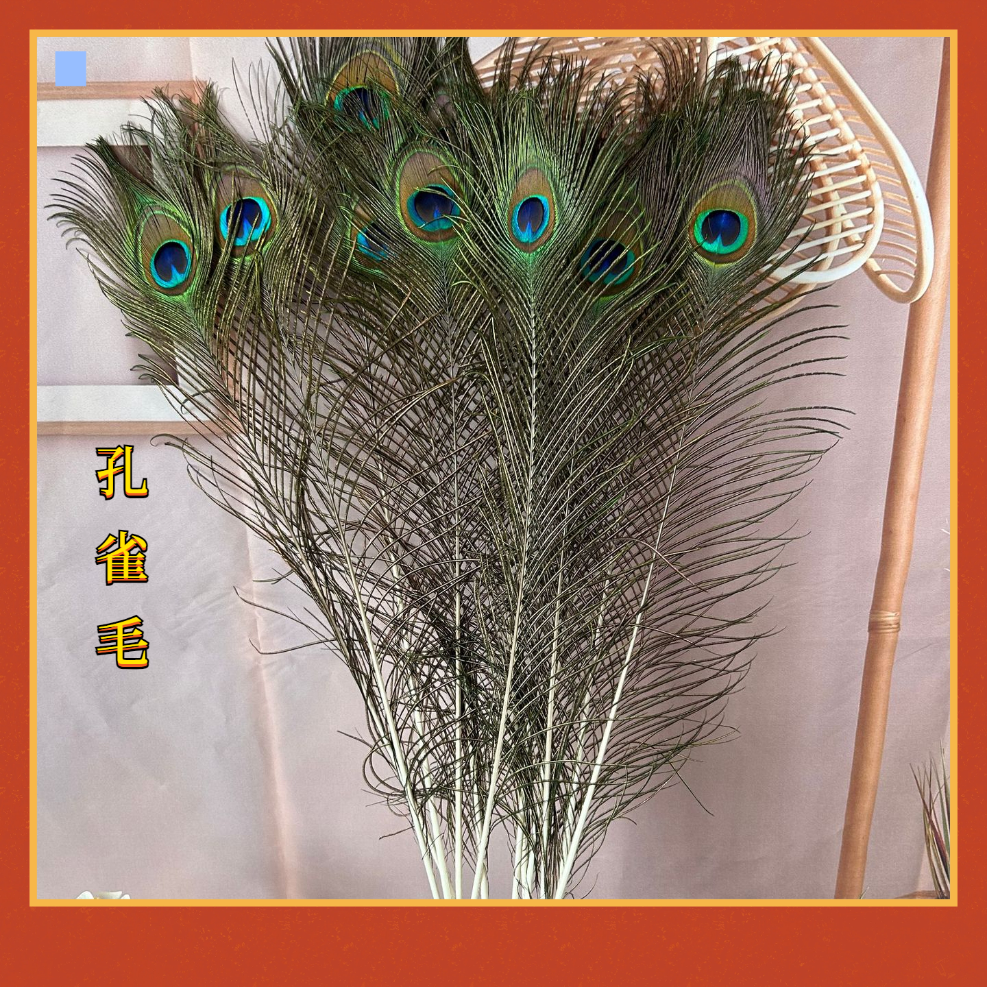 孔雀毛翎摆件25-130cm翎尾孔雀羽毛居家公司婚庆礼品摆件