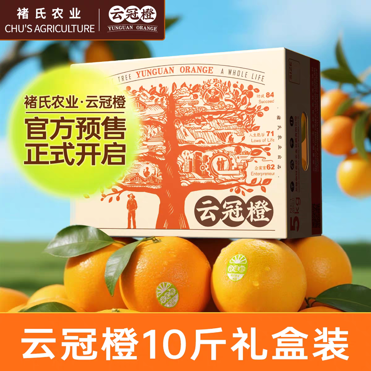 【云冠橙 】2025褚氏农业出品 褚橙庄园 冰糖橙10斤 送礼佳品