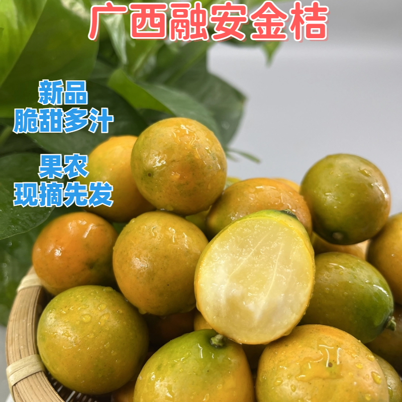 【第二代】融安滑皮金桔纯甜不酸应季水果脆皮金桔香甜少核金桔
