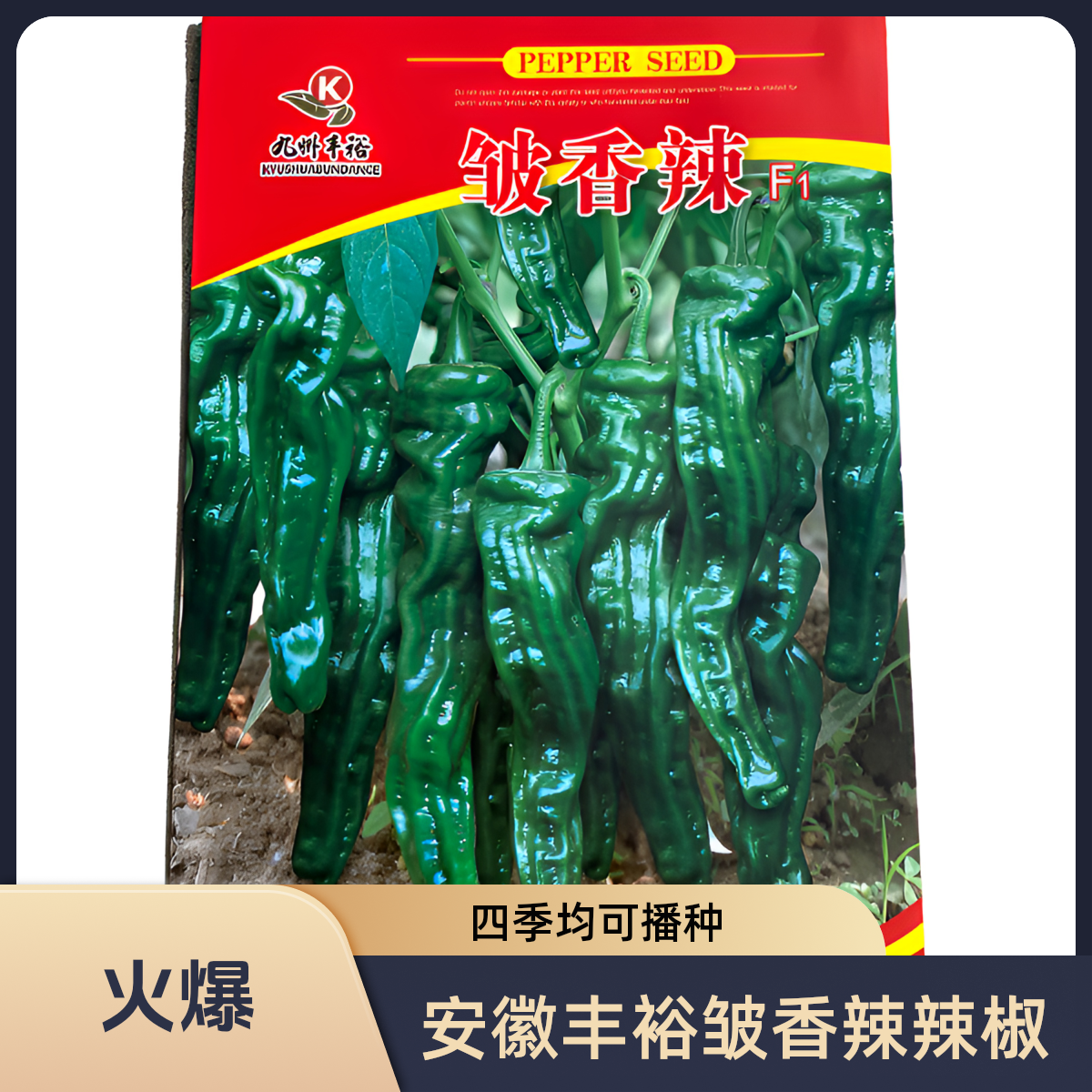 安徽丰裕辣椒种子皱香辣薄皮小皱皮辣椒苗盆栽阳台室内外露天种植