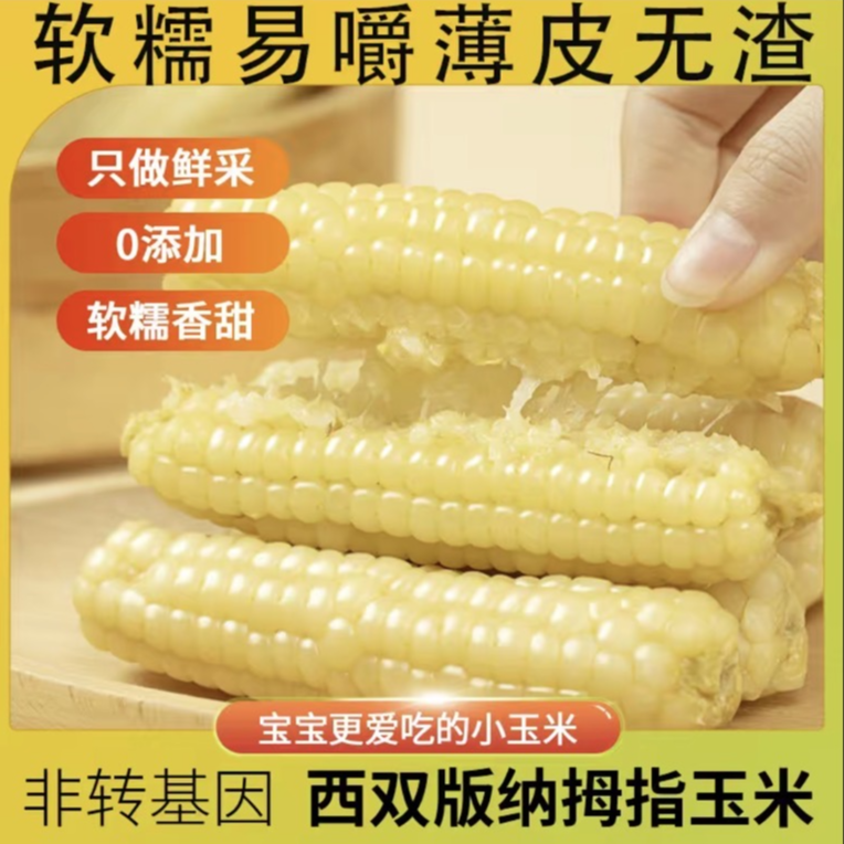 云南西双版纳手指拇指玉米真空装手指玉米迷你现摘锁鲜小白糯玉米