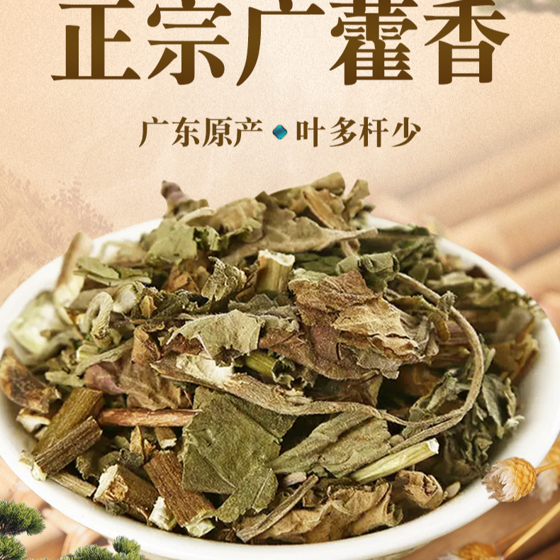 广藿香 新鲜广藿香采摘泡茶可搭配黄芪金银花250克