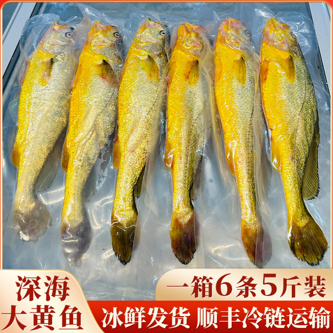 正宗宁德深海大黄鱼，无土腥味无泥腥味，深夜捕捞冰鲜发货顺丰包邮