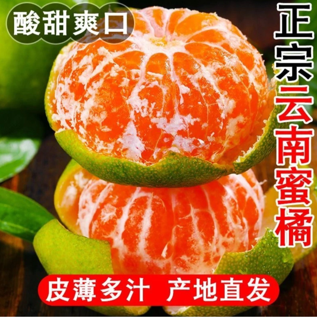 【现摘现发】云南蜜橘无核薄皮橘子青皮桔子时令水果当季现货现摘W