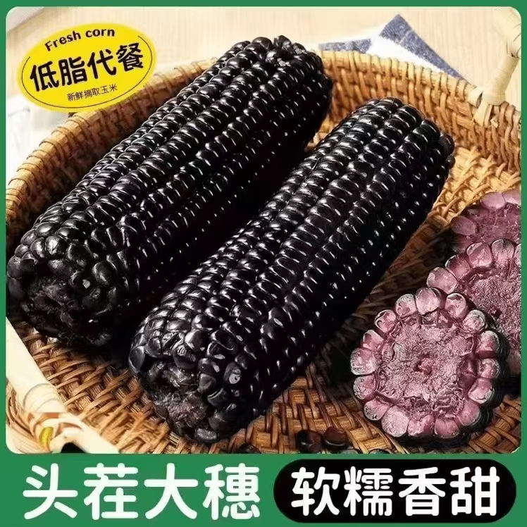 【整箱9.5斤-10斤】黑色蓝莓糯玉米（330-400g）拍10送3发13试吃4支