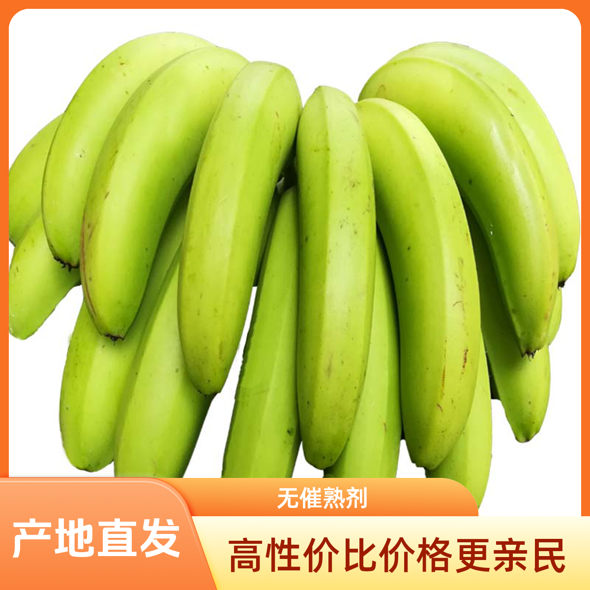 广西新鲜高山香蕉 薄皮香甜蕉当季新鲜水果现采现发