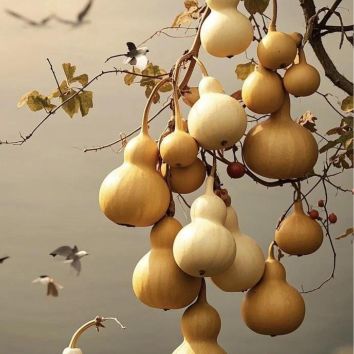 葫芦装饰品直播间专用