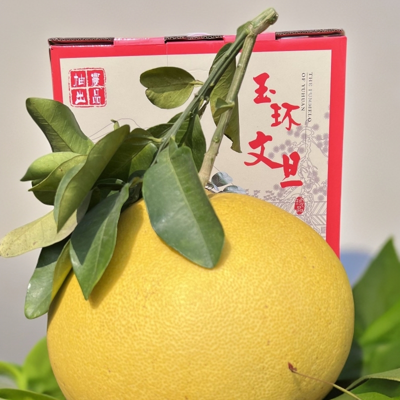 玉环厚薄皮文旦柚酸甜可口~原产地直发