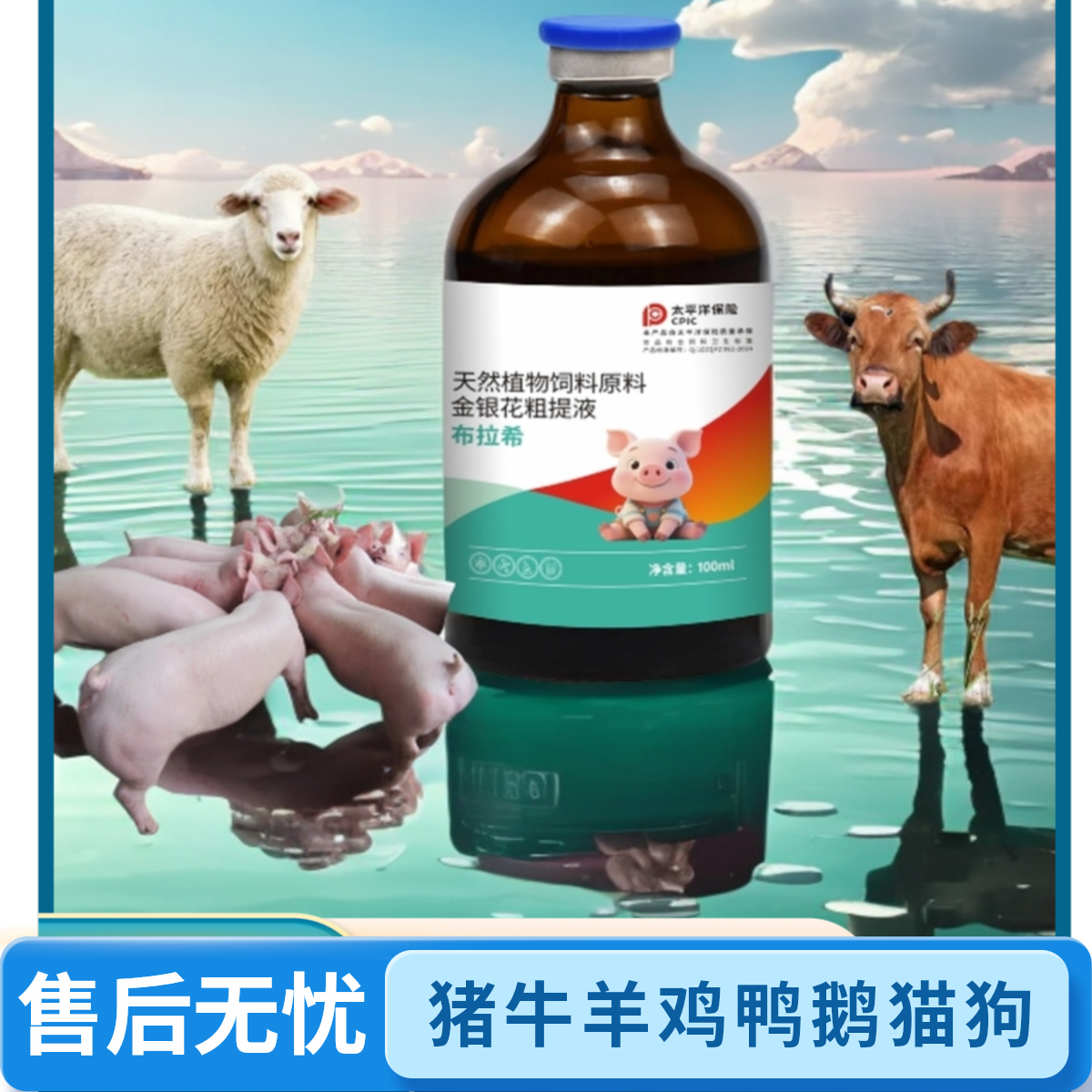 布拉希天然植物饲料原料添加剂