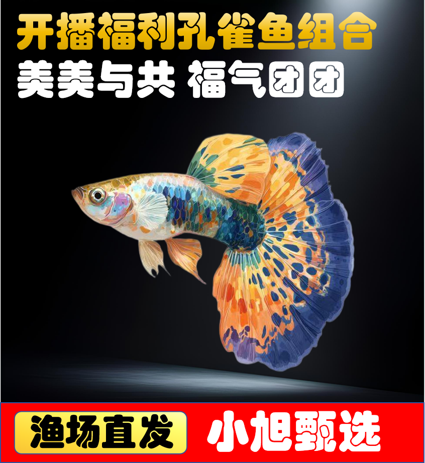 【全家福开播福利】8 条+送2条备损孔雀鱼5个品种公母搭配好活耐养