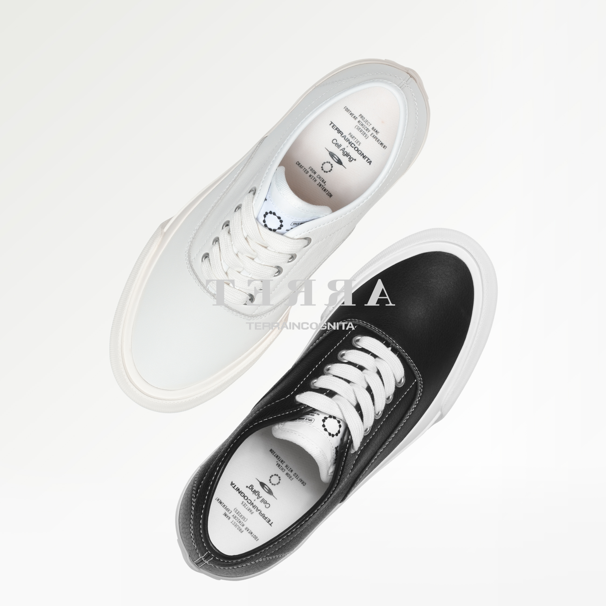 TCollie低帮休闲亮面牛皮板鞋日常通勤百搭TERRAINCOGNITA联名款