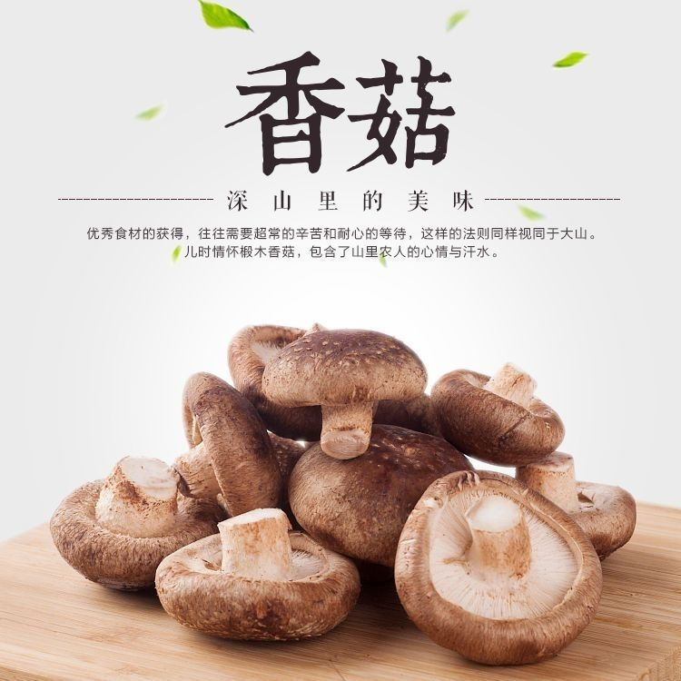 【香菇】|鲜品|苹果木上的黄金鲜香菇*4斤装
