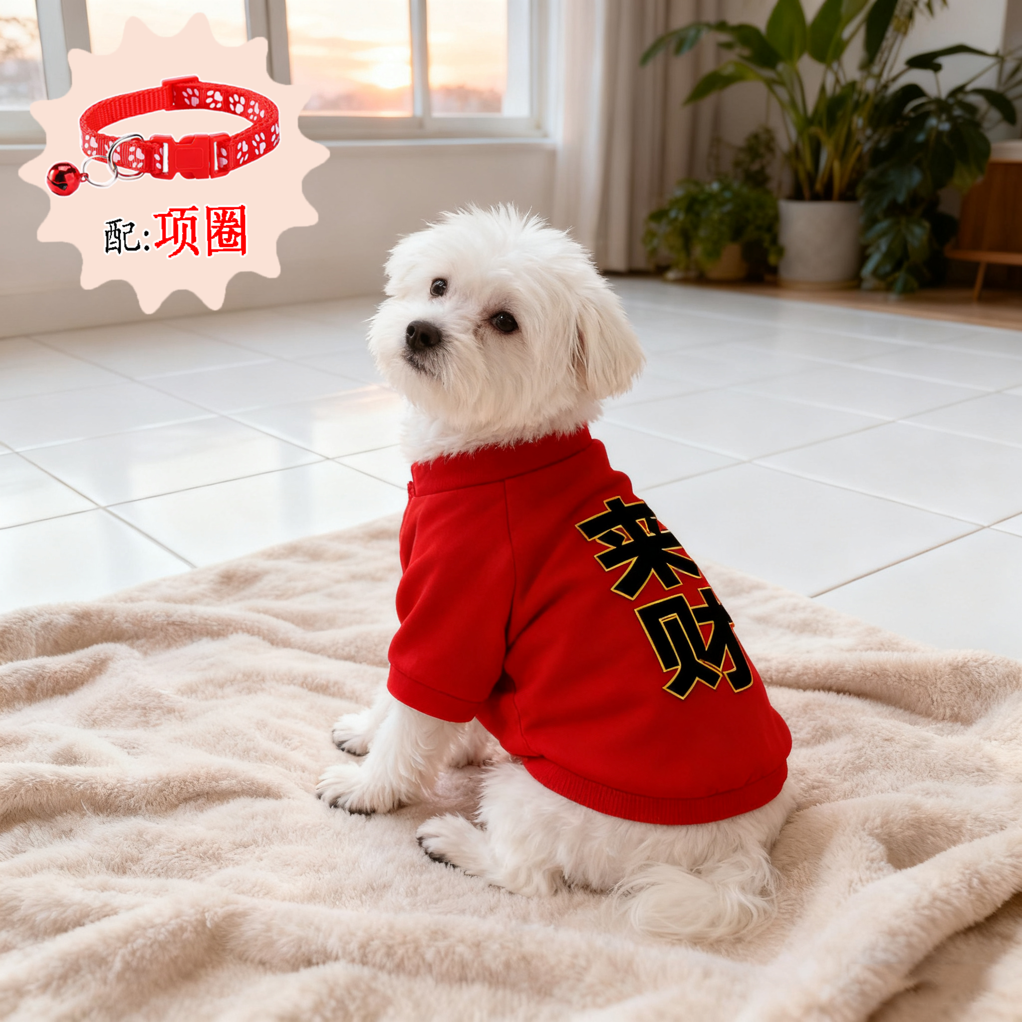 小狗狗衣服秋冬款季加绒宠物衣服泰迪柯基比熊幼犬小型犬牵引项圈