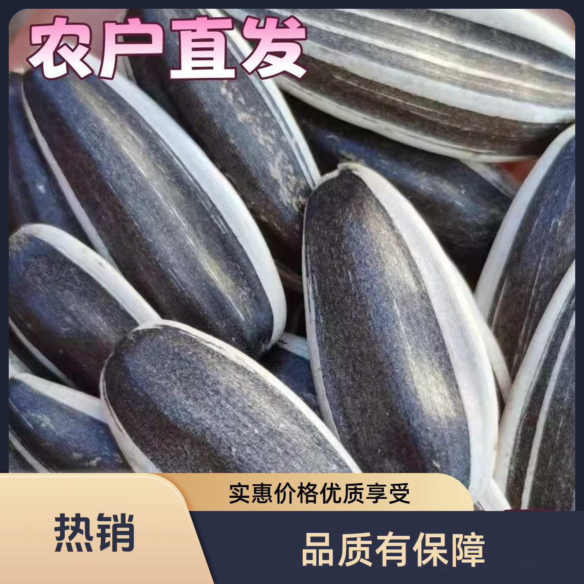 （到手2斤）原地产内蒙古饱满大颗粒新货葵花子生瓜子休闲小零食