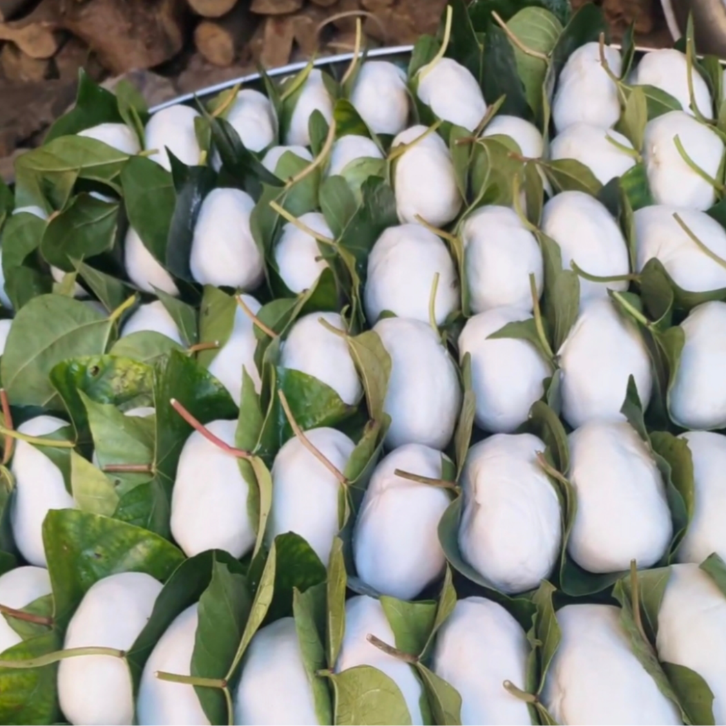 湖南邵阳传统手工早餐桐子叶粑粑糕点老客粑七月半粑粑正宗