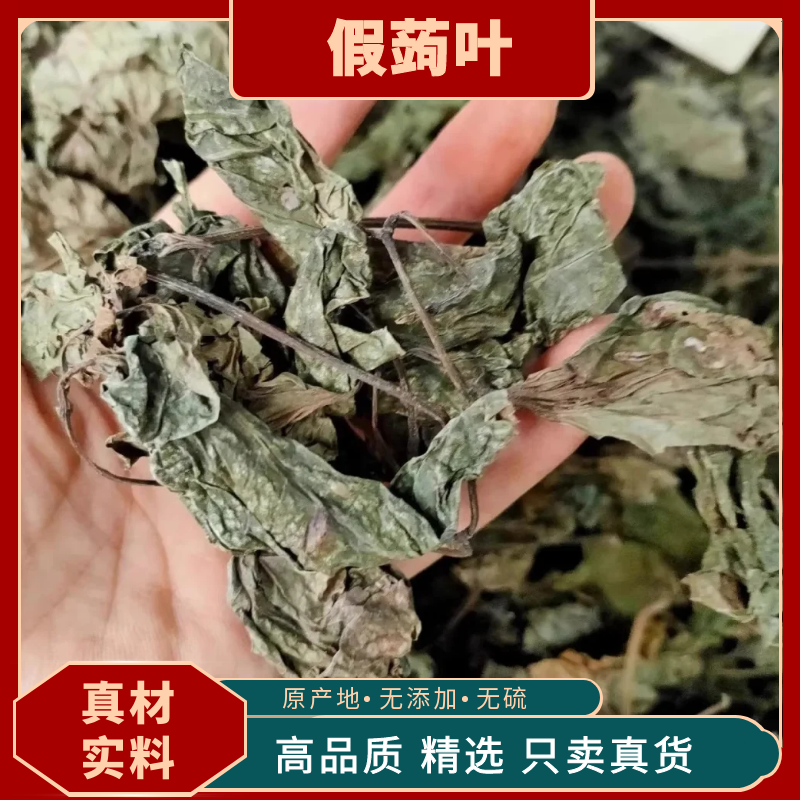 假蒟叶蛤篓叶假蒌叶假蒟蒌叶香菜田螺配料青蒌叶急捞中药材店铺