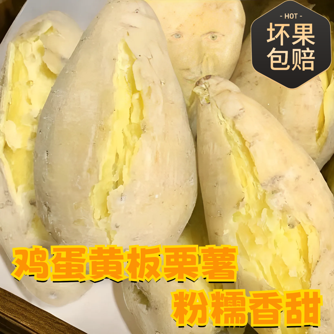 鸡蛋黄番薯白皮黄心板栗薯甜糯粉糯香甜新鲜农家现挖红薯地瓜春薯