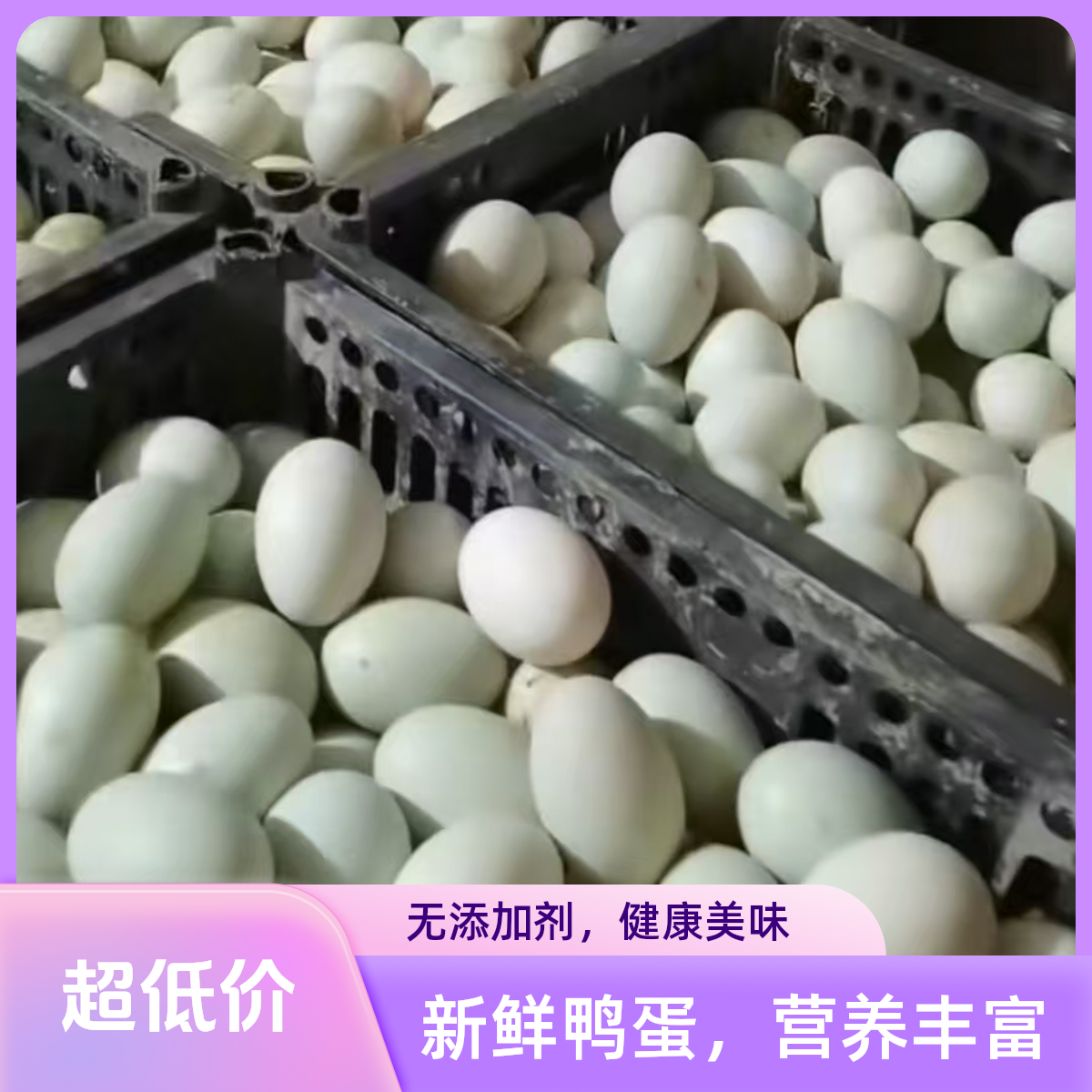 散养土鸭蛋生鸭蛋【鸭二代】散养新鲜鸭蛋农家散养海鸭蛋整箱30枚