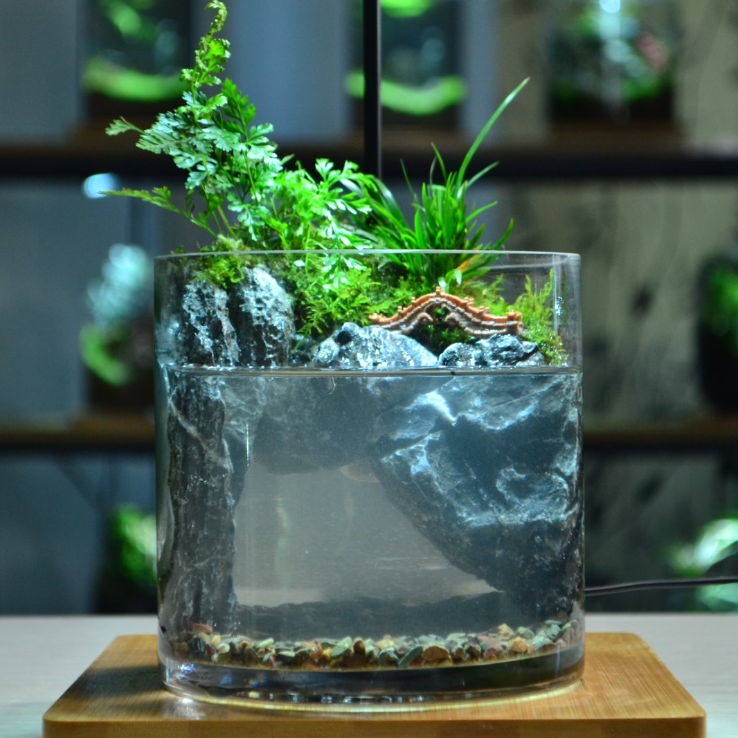 【桥畔逸境】新款国风桌面苔藓微景观创意绿植成品高端摆件