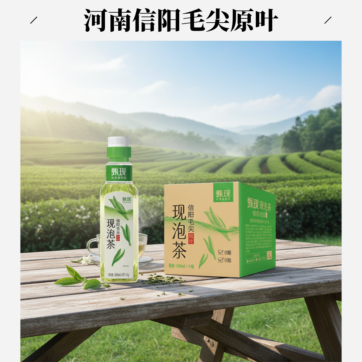 甄现信阳毛尖现泡茶 茶味甘醇0蔗糖0脂肪0香精原叶无糖冷水现泡茶
