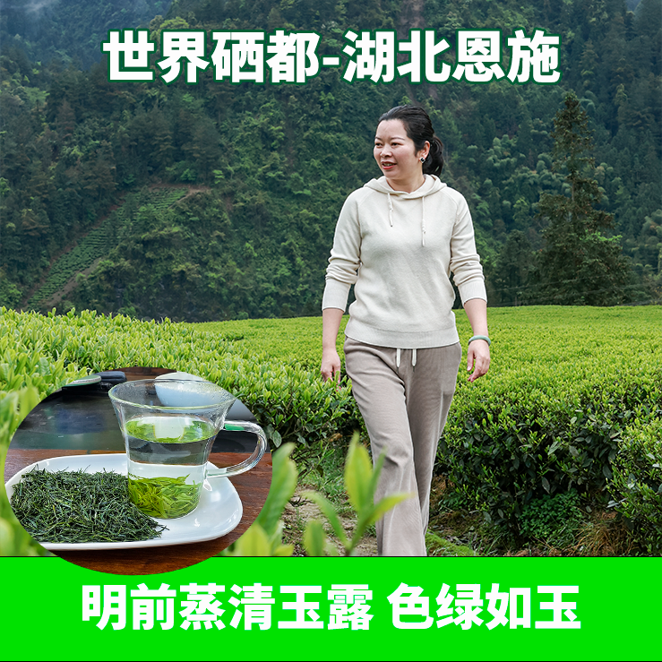 2025新茶恩施玉露明前头采龙井鲜爽栗香高山云雾含硒绿茶