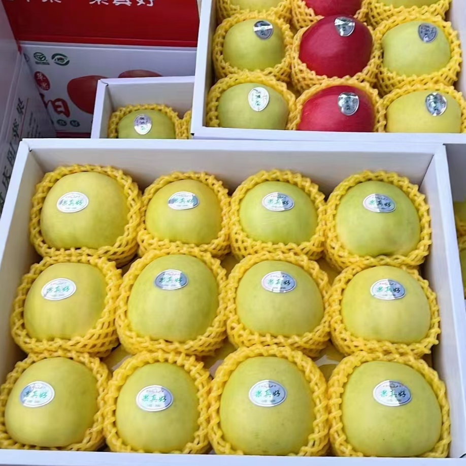 精品正宗瑞雪瑞阳苹果庆阳苹果界天花板国货之光玫瑰香味浓郁脆甜