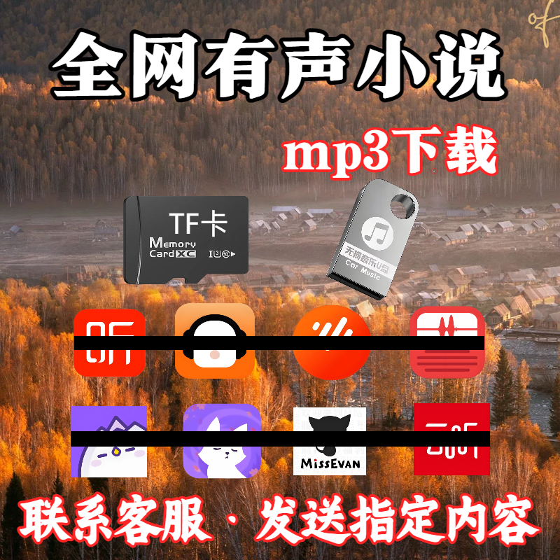 有声小说内存卡专业指定下载mp3/4通用音频优盘存储卡