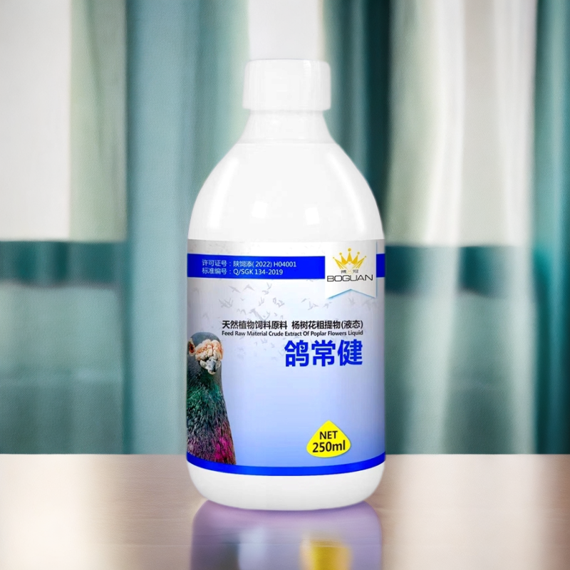 xirenqux白鸽子搏冠鸽常健信鸽用沙门氏大肠杆菌寒水绿便专用