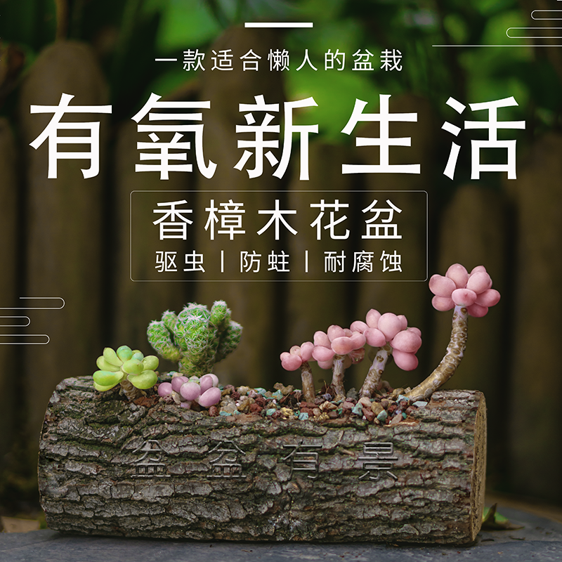 香樟木原木花盆天然防虫防蛀耐腐蚀实木花槽多肉石斛绿植花盆
