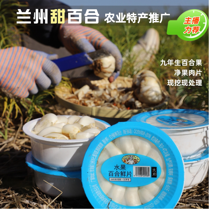 【3碗尝鲜装】兰州甜百合9年整大果净果肉片无需处理无添加正装试吃