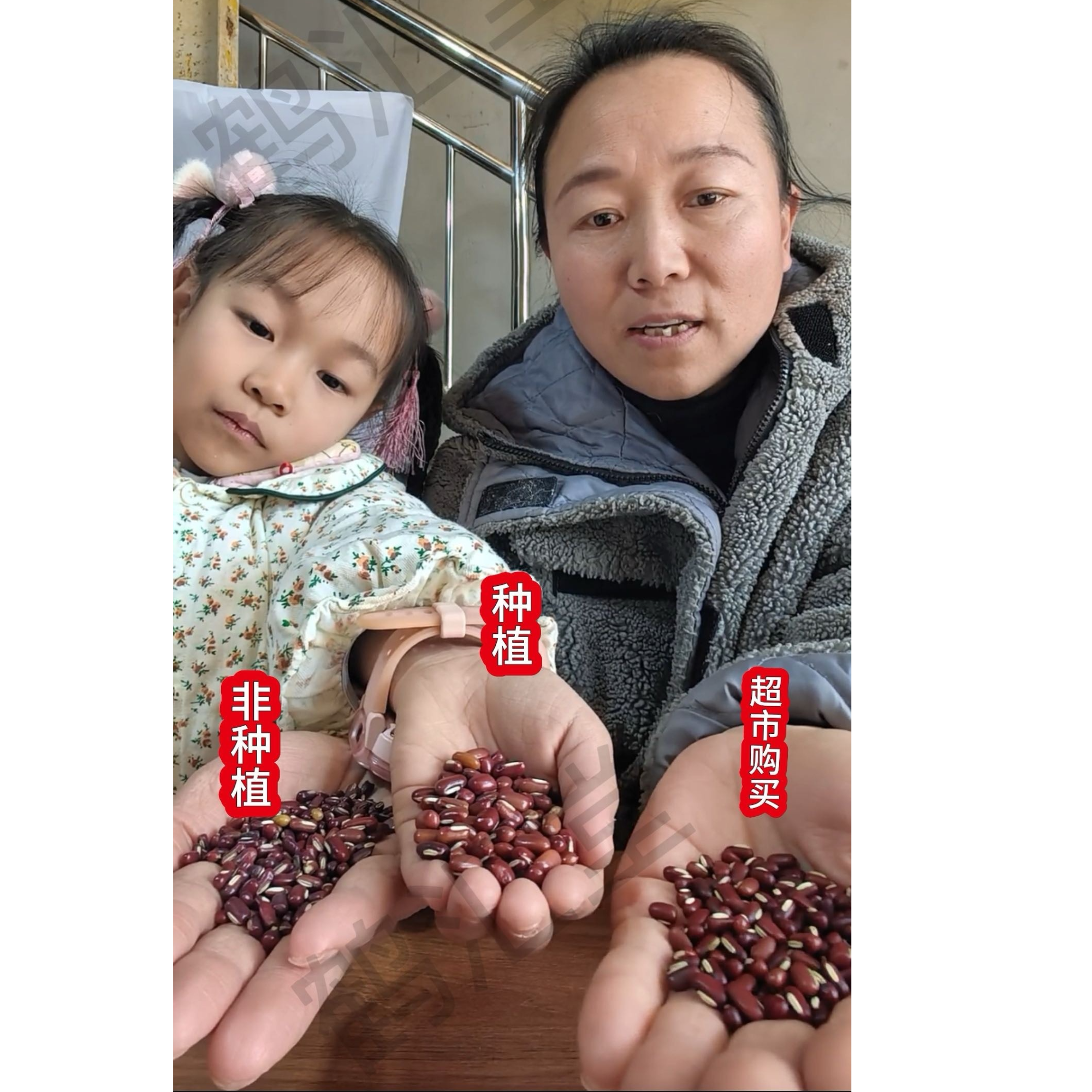 赤小豆农家可搭配薏米仁煲汤煮粥煮水