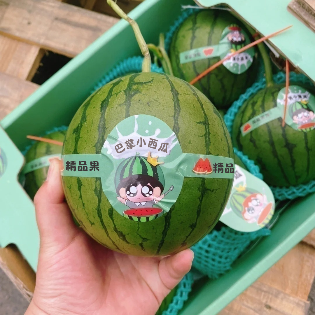 精品巴掌小西瓜 手扒皮西瓜 薄皮手撕西瓜 新鲜水果