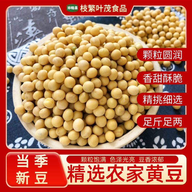 新鲜黄豆大豆黄豆打豆浆农村批发煲汤打豆浆专用颗粒精品黄豆批发