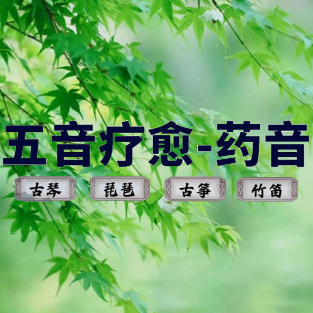 车载u盘五音疗愈音药古琴琵琶古筝静心养生纯音乐茶室无损音质MP3