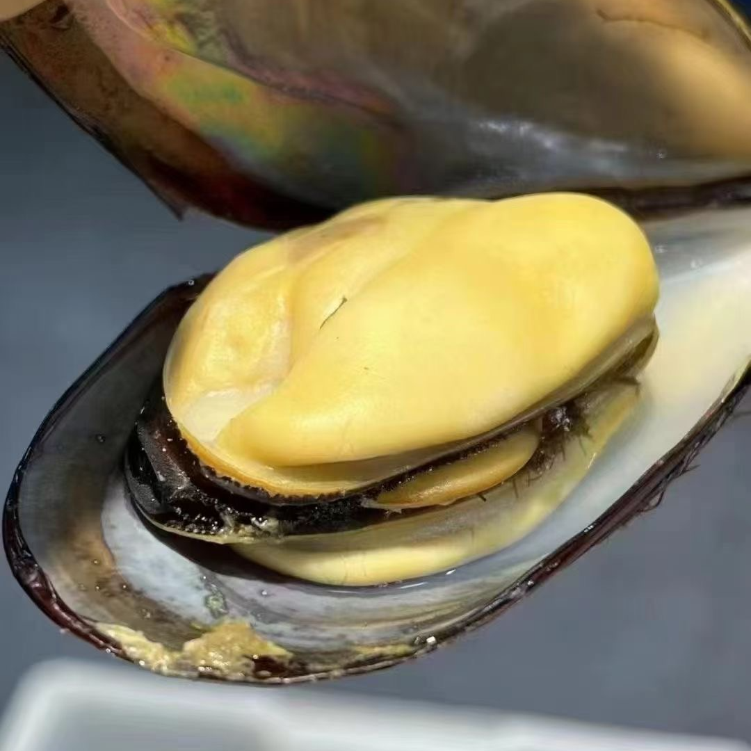 新鲜大号青口贝（淡菜）非小海虹 京东冷链发货