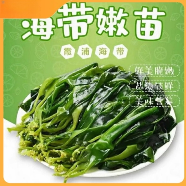 福建霞浦特产海带苗嫩特级菜盐渍嫩苗火锅食材商用压缩干货即食