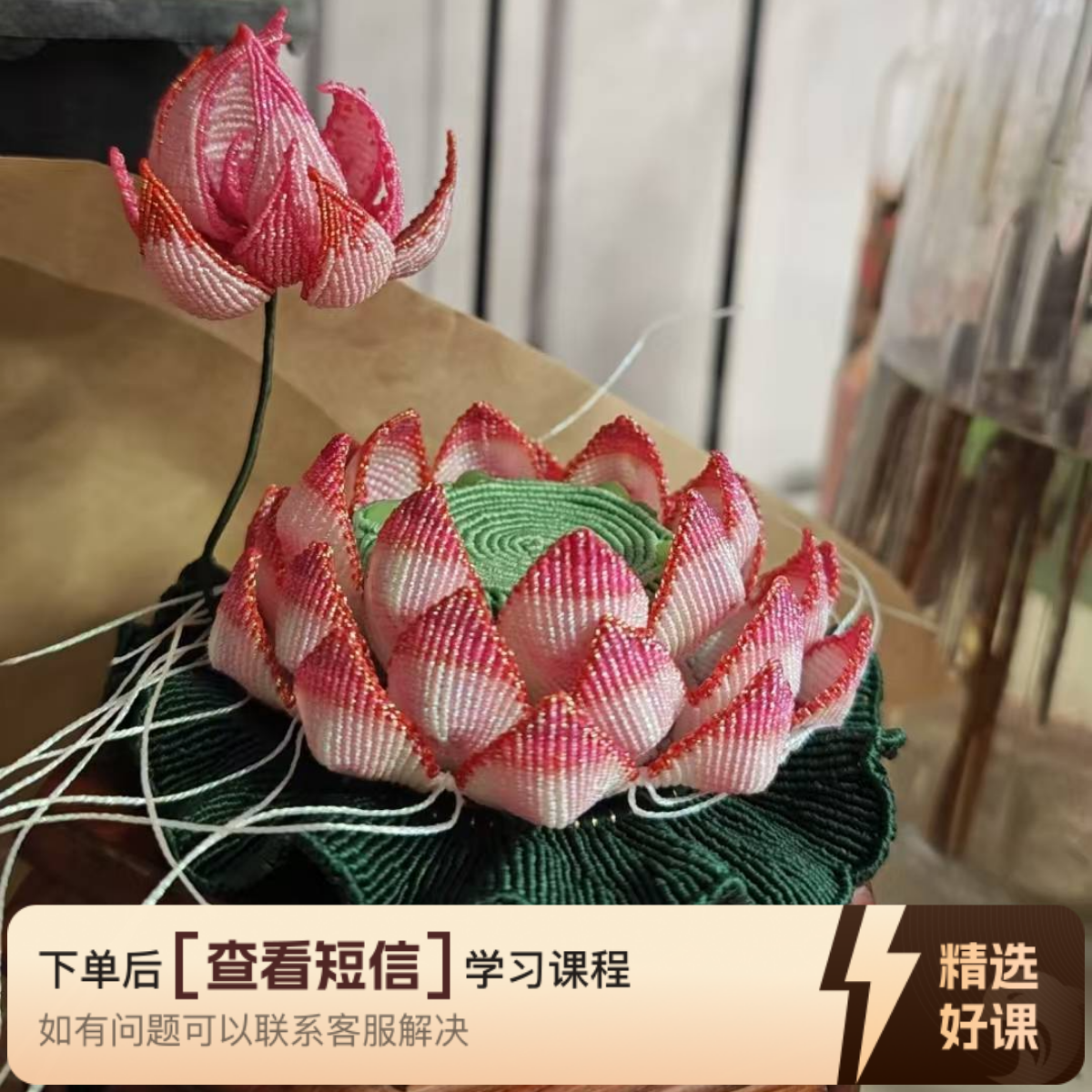 荷花莲花系列合集（留意短信解锁课程）