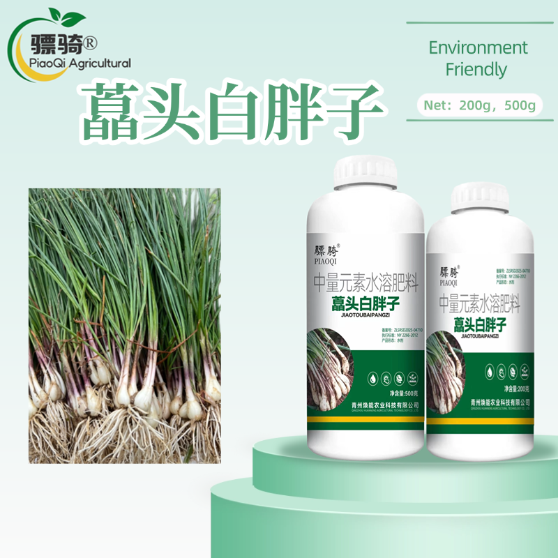 藠头白胖子藠头种植专用补充营养提质增产膨大促进生长水溶肥
